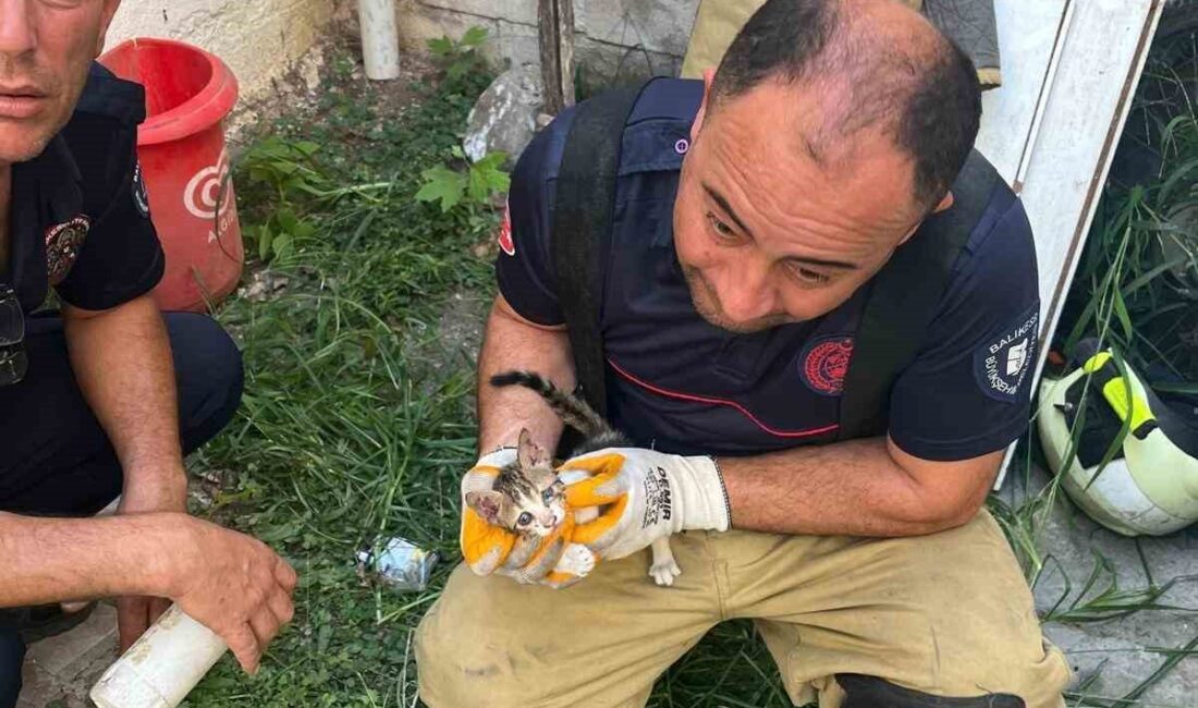 Balıkesir’in Erdek ilçesinde, Turan Mahallesi Turan Sokak üzerinde bulunan iki