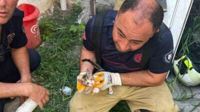 Balıkesir’in Erdek ilçesinde, Turan Mahallesi Turan Sokak üzerinde bulunan iki