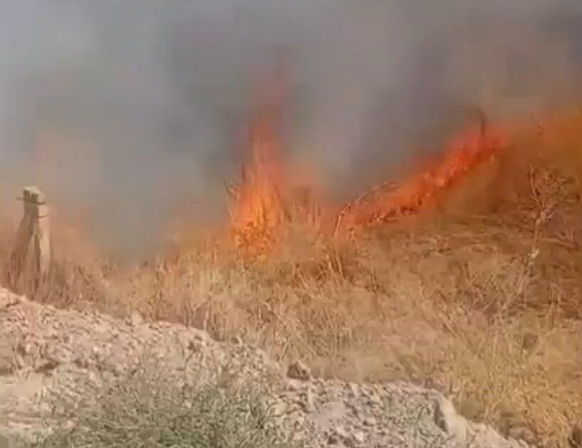 Ereğli ilçesinde iki ayrı noktada meydana gelen yangınlar, ekiplerin zamanında