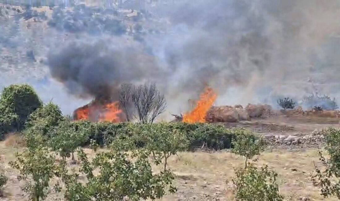 Siirt’in Eruh ilçesinde, Zarova Çayı civarında meydana gelen yangın, yaklaşık