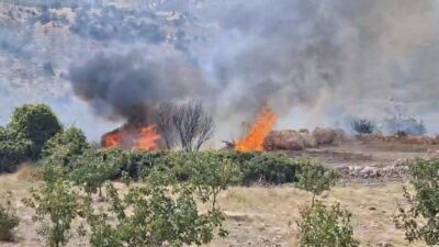Siirt’in Eruh ilçesinde, Zarova Çayı civarında meydana gelen yangın, yaklaşık
