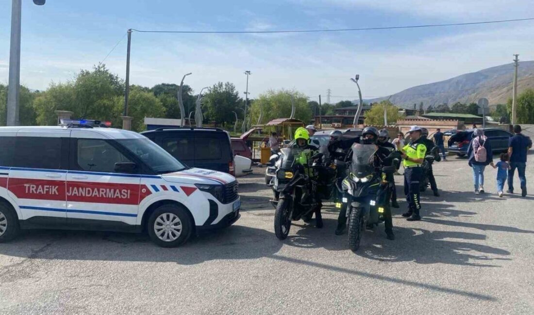 Erzincan İl Jandarma Komutanlığı, ağustos ayında gerçekleştirdiği operasyonlar kapsamında toplam