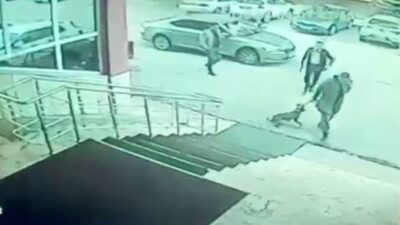 Erzurum’un Palandöken ilçesindeki Kaymakam Yunus Kızılgüneş ve korumasının, bir köpeğe