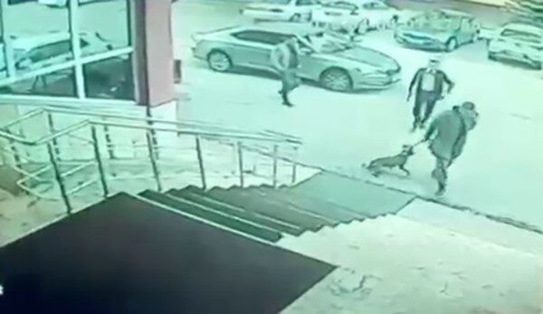 Erzurum’un Palandöken ilçesindeki Kaymakam Yunus Kızılgüneş ve korumasının, bir köpeğe