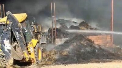 Eskişehir’in Sivrihisar ilçesinde bir çiftlikte meydana gelen yangında, 15 küçükbaş