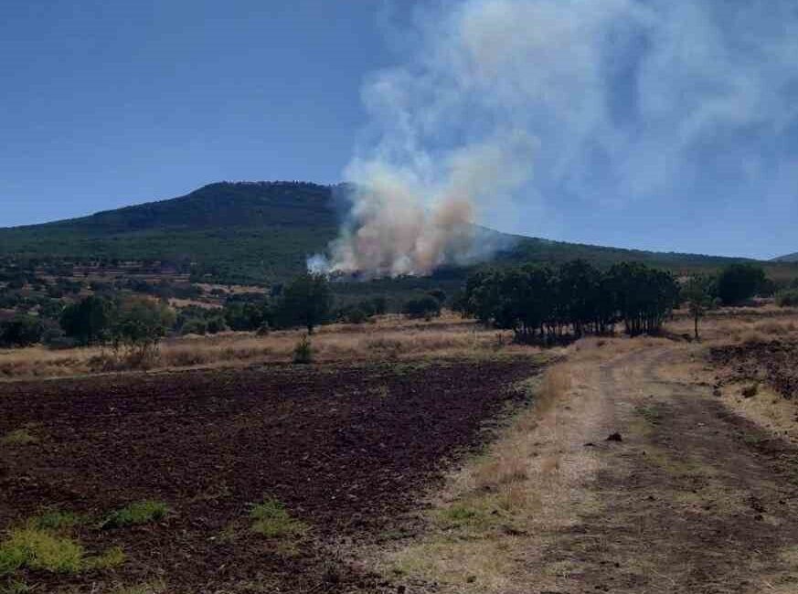 Eskişehir’in Sivrihisar ilçesinde, henüz belirlenemeyen bir nedenle çıkan yangınla ilgili