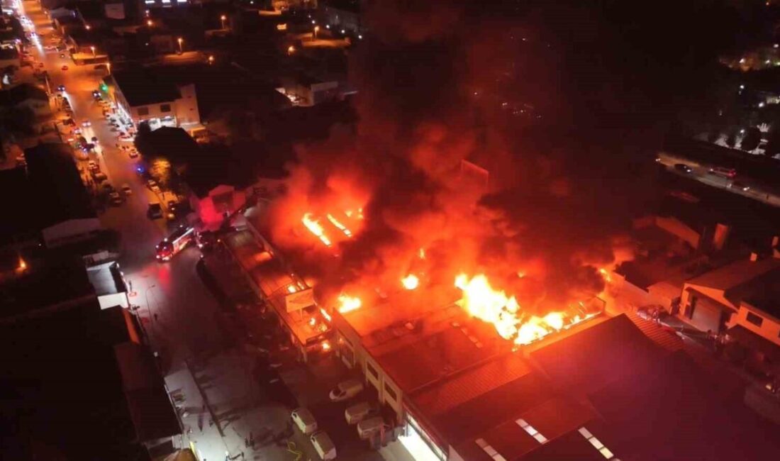 Eskişehir’de, Baksan Sanayi Sitesi’nde bulunan bir yapı malzemeleri dükkanında çıkan