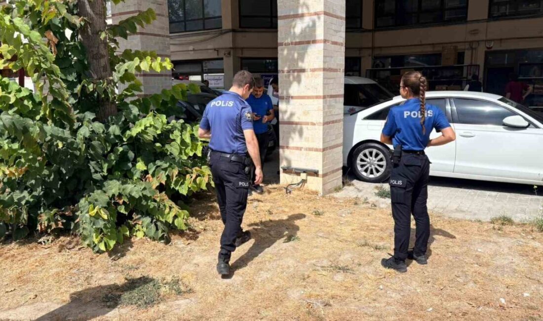 Kütahya’da esnaf tarafından beslenen bir kedinin bacakları kesilmiş ve telef