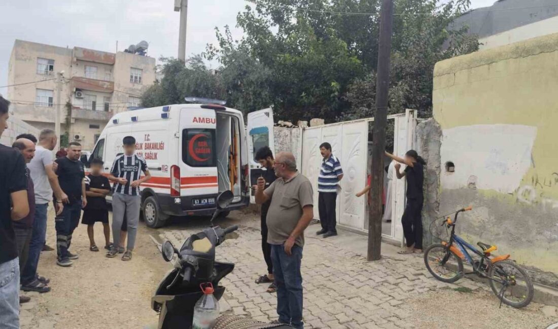 Suruç’ta Bir Kadın Hırsız Çetesi Ev Soygunu Yaptı Şanlıurfa’nın Suruç