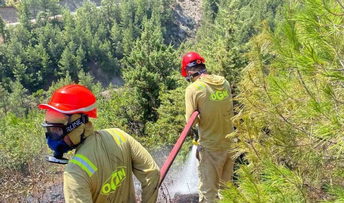 Feke ilçesinde çıkan orman yangını, hızlı bir şekilde ekiplerin havadan
