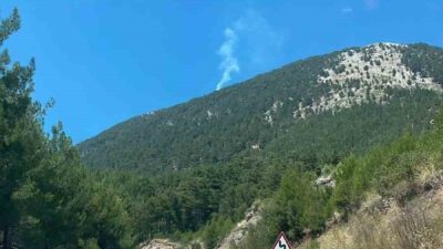 Muğla’nın Fethiye ilçesinde meydana gelen orman yangını, ekiplerin hızlı müdahalesi