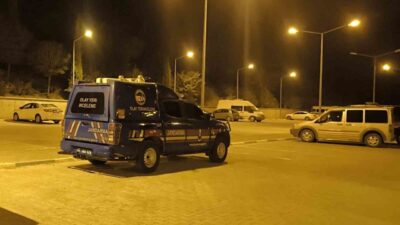 Besni ilçesine bağlı Kesmetepe köyünde bir fıstık bahçesine giren 12