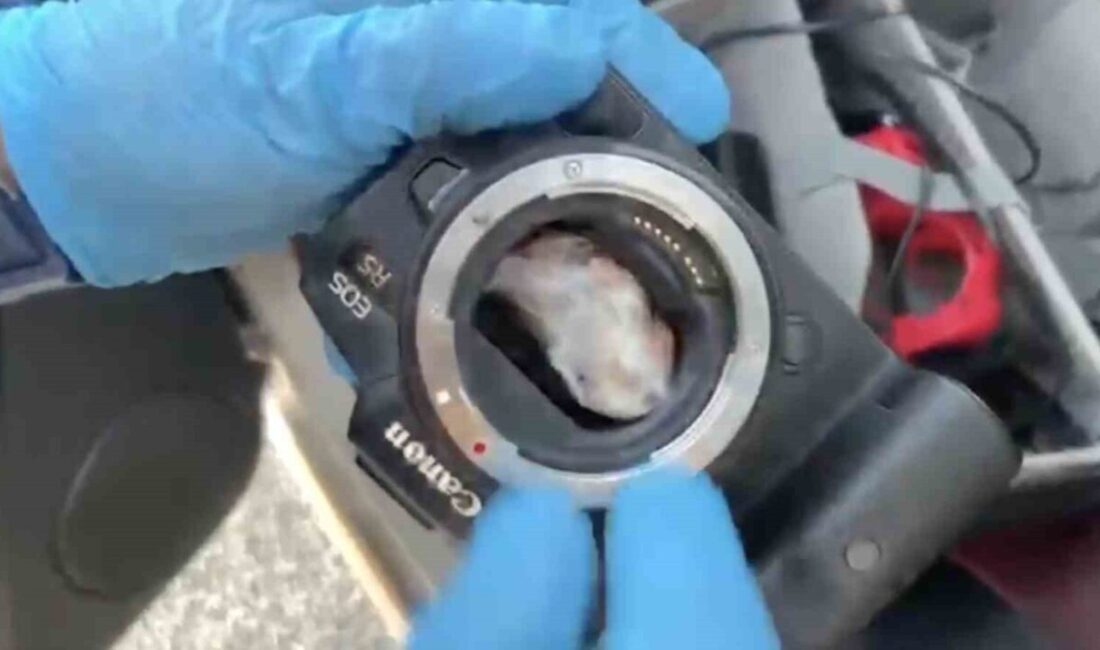 Kastamonu’da, polis ekipleri tarafından gerçekleştirilen operasyonda, fotoğraf makinesinin içine gizlenmiş