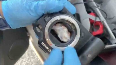 Kastamonu’da, polis ekipleri tarafından gerçekleştirilen operasyonda, fotoğraf makinesinin içine gizlenmiş