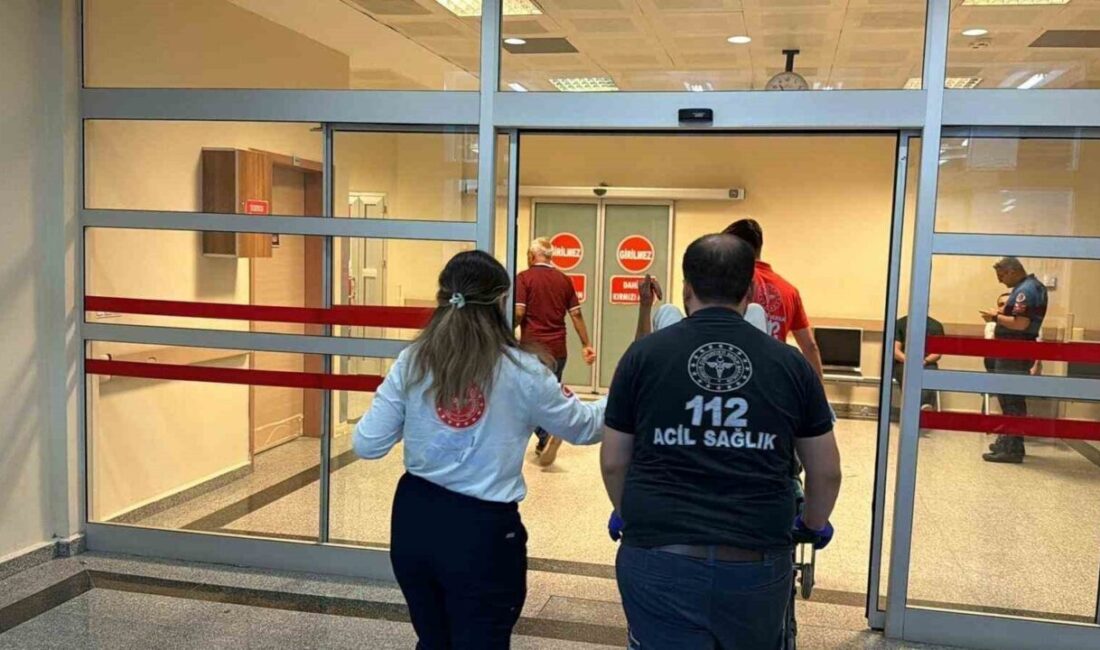 Adıyaman şehrinde meydana gelen olayda bir genç, üzerine saldıran bir