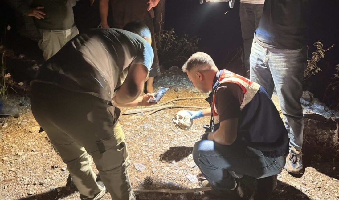 Gazipaşa ilçesinde bir çobanın hayvanlarını otlatırken ormanlık alanda bir kafatası