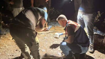 Gazipaşa ilçesinde bir çobanın hayvanlarını otlatırken ormanlık alanda bir kafatası