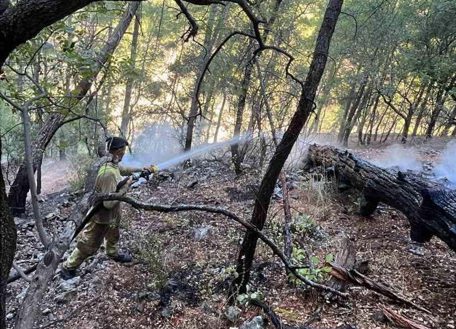 Muğla’nın Dalaman ilçesine bağlı Bozbel mevkisinde gece saatlerinde başlayan orman