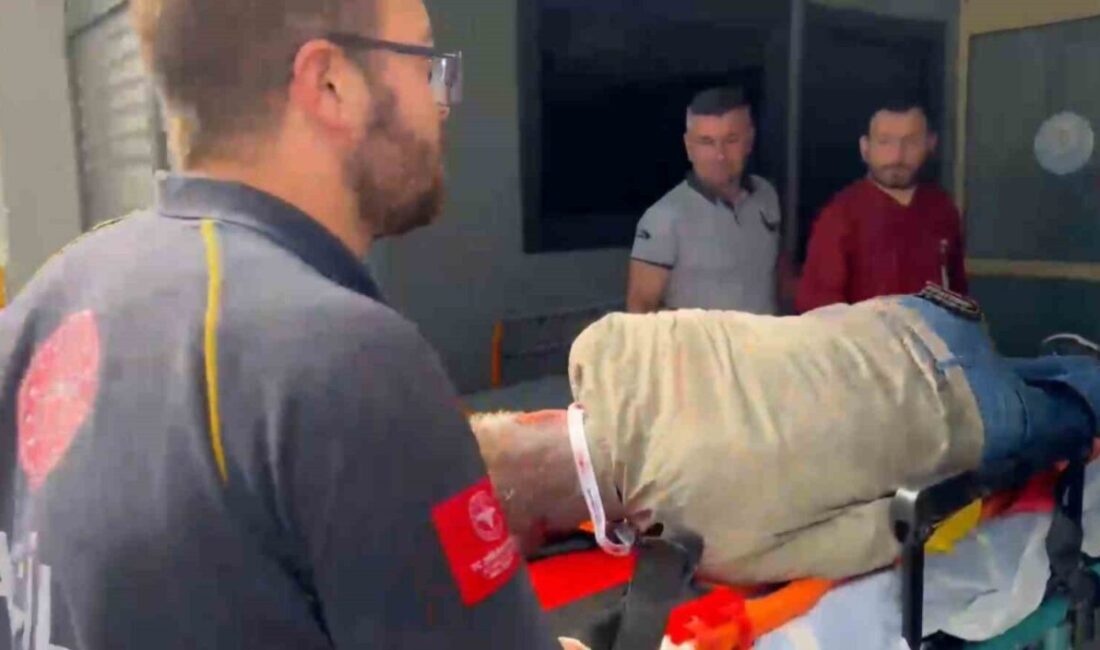 Gürcistan’ın Batum şehrinden kalkan 2 kişilik bir uçak, Rize’nin Pazar