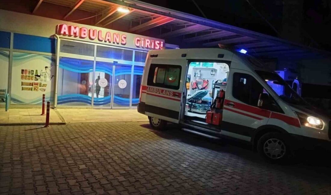 Adıyaman’ın Gölbaşı ilçesinde bir hafif ticari aracın çarpması sonucu bir