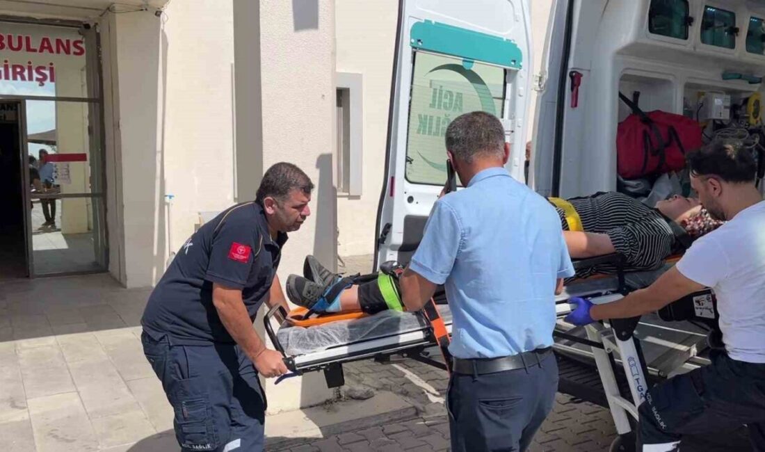 Besni ilçesinde meydana gelen trafik kazasında bir otomobil ile bir