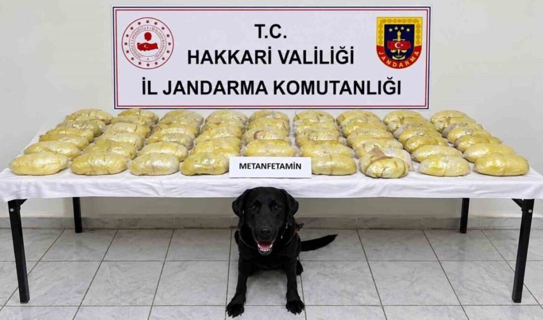 Hakkâri’de bir tırda 21 kilo 700 gram metamfetamin bulundu. Valilik