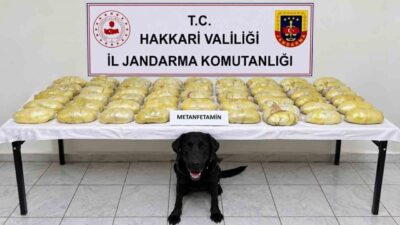 Hakkâri’de bir tırda 21 kilo 700 gram metamfetamin bulundu. Valilik
