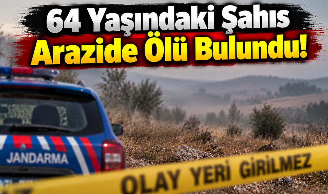 Kırşehir’in Çiçekdağı ilçesine bağlı Halaçlı köyü kırsalında hareketsiz yatan bir