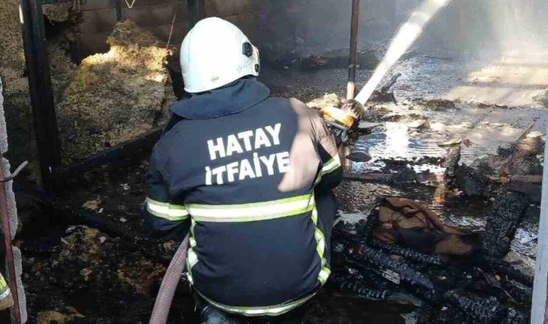 Hassa ilçesinde bulunan Aktepe Mahallesi’nde çıkan ev ve ahır yangını,