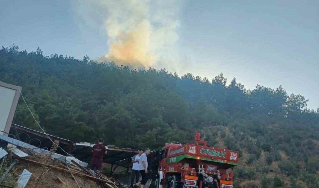 Hassa ilçesinde meydana gelen orman yangını, ekiplerin havadan ve karadan