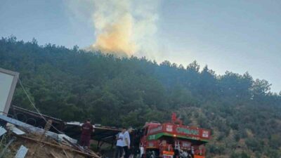 Hassa ilçesinde meydana gelen orman yangını, ekiplerin havadan ve karadan