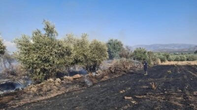 Hassa ilçesinde meydana gelen zeytinlik alan ve anız yangını, ekiplerin