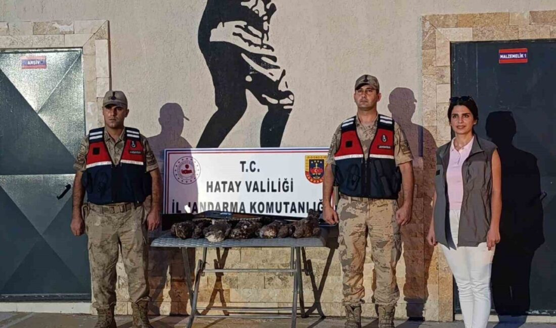 Hatay’da 7 arı şahinini avlayan bir şahsa 26 bin TL