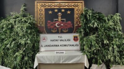 Hatay’ın Samandağ ilçesinde, jandarma ekipleri tarafından dronlarla desteklenen bir operasyon