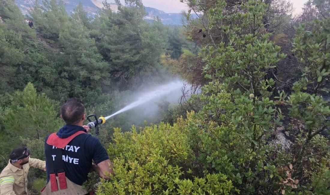 Antakya ilçesinde çıkan orman yangını, itfaiye ekiplerinin hızlı müdahalesi ile