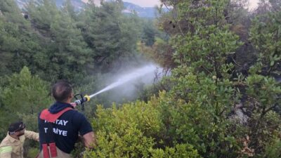 Antakya ilçesinde çıkan orman yangını, itfaiye ekiplerinin hızlı müdahalesi ile