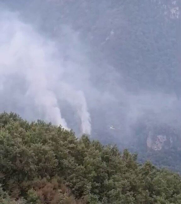 Hatay’ın Dörtyol ilçesine bağlı Rabat Mahallesi Gürlevik Yaylası’nda çıkan orman