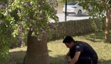 Osmaniye’de bir sitede mahsur kalan 3 yavru kedi, itfaiye ekipleri