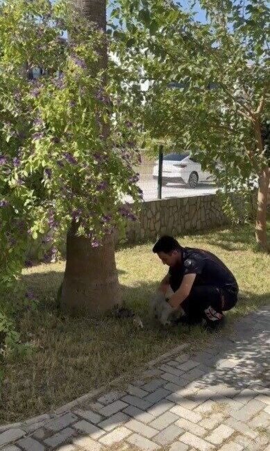 Osmaniye’de bir sitede mahsur kalan 3 yavru kedi, itfaiye ekipleri