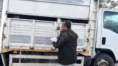 Sapanca ilçesindeki jandarma ekipleri, Sakarya’da durdurdukları bir kamyonette 11 küçükbaş