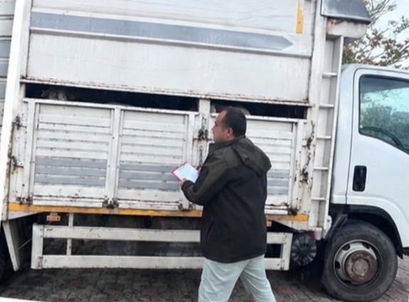 Sapanca ilçesindeki jandarma ekipleri, Sakarya’da durdurdukları bir kamyonette 11 küçükbaş