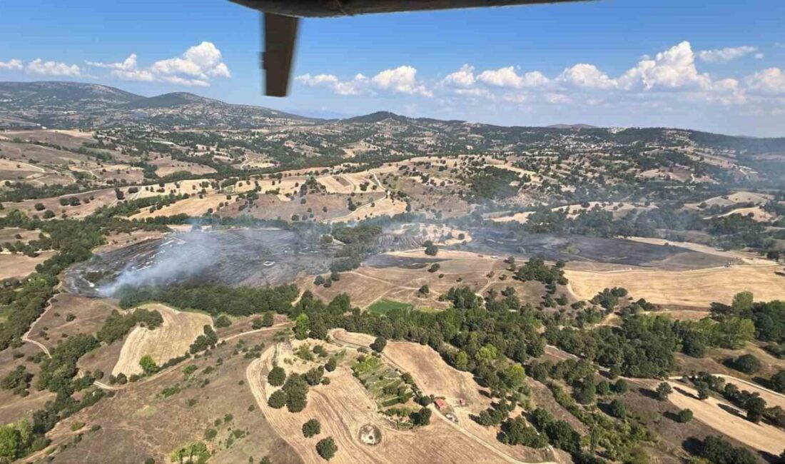 Büyükorhan ilçesinde çıkan bir yangın, tarım arazilerinden ormana sıçradı; ancak