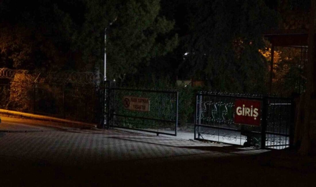 Doğanyol ilçesinde şarjlı hızar motoru kullanan 21 yaşındaki bir genç,