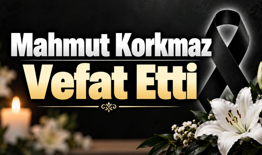 İbikli köyünden gelme, Ayanoğlu Mahallesi sakinlerinden Behzat ve Hüseyin Korkmaz’ın