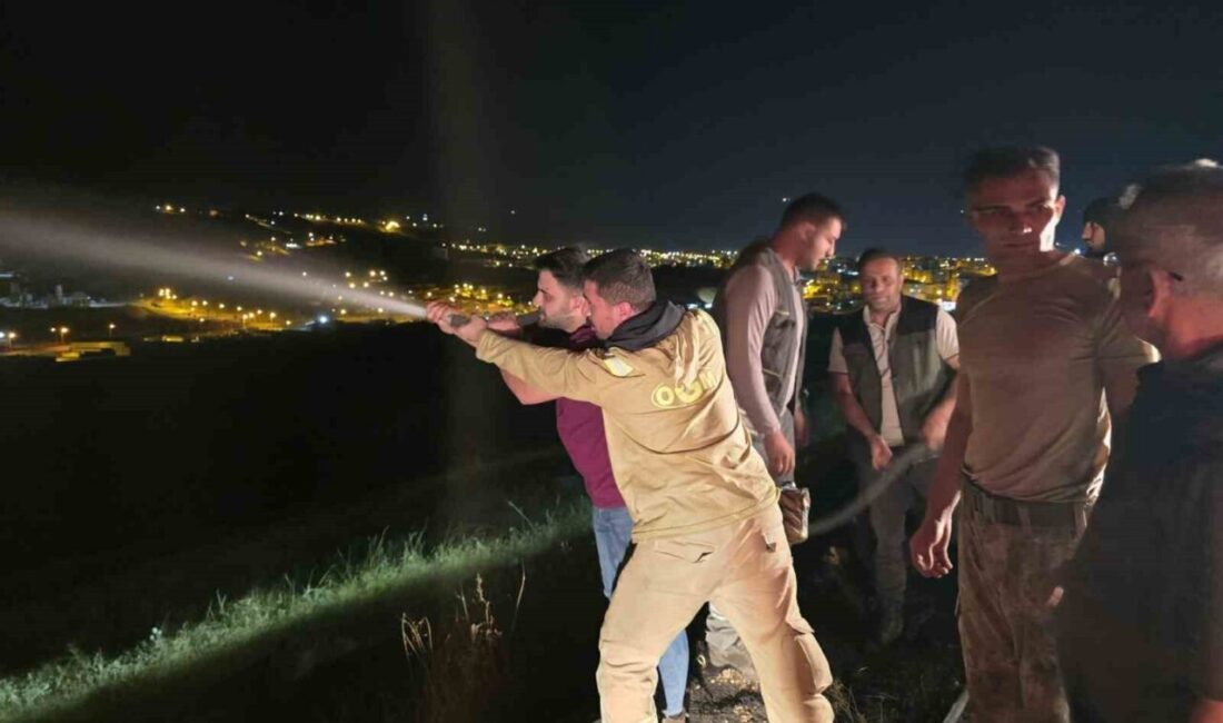 Şırnak’ın İdil ilçesine bağlı Yarbaşı köyünde dün akşam saatlerinde meydana