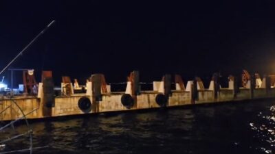 İstanbul Deniz Otobüsleri’ne ait bir deniz otobüsü, İstanbul-Mudanya seferi sırasında