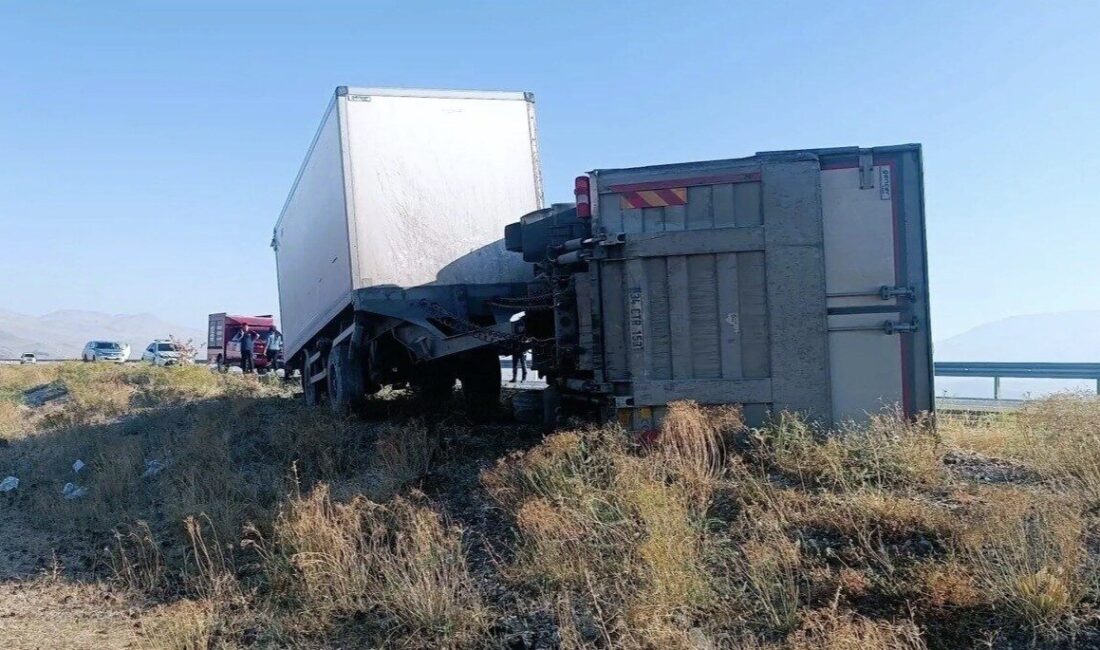 Iğdır-Doğubayazıt karayolunun Gültepe mevkiinde, eşeğe çarpmamak için manevra yapan tamperli