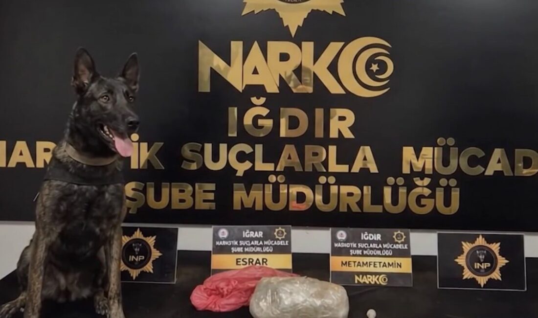 Iğdır’a, Ağrı’nın Doğubayazıt ilçesinden uyuşturucu taşınacağı bilgisine dayanarak düzenlenen bir