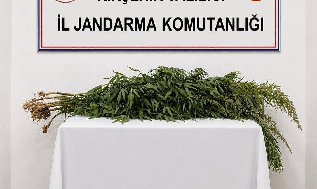 Boztepe ilçesinde gerçekleştirilen operasyonda, jandarma ekipleri tarafından iki şüphelinin evinde
