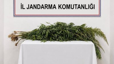 Boztepe ilçesinde gerçekleştirilen operasyonda, jandarma ekipleri tarafından iki şüphelinin evinde